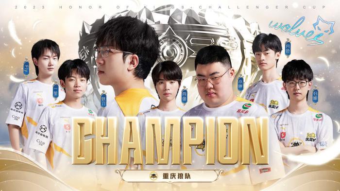 贵的学习机